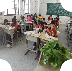 1638338952299467.png image.png