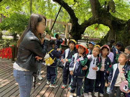 1682514694102381.png image.png